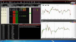 CapTrader Trader Workstation TWS und AgenaTrader Software Grundlagen [upl. by Mulloy]