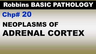 Ch20  Tumours of Adrenal Cortex  Endocrine Pathology  Dr Asif Lectures [upl. by Scrivens225]