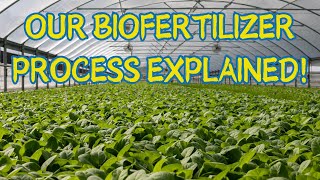 INTEGRAS BIOFERTILIZER Production Process [upl. by Gnah]