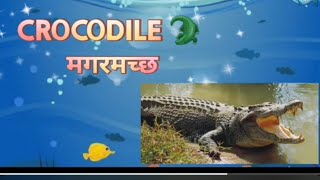 water animals जलचर kids learning videoपाणी मे रहनेवाले प्राणीkidslearning [upl. by Reiners449]