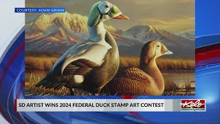 South Dakota artist wins Federal Duck Stamp contest [upl. by Justinn]