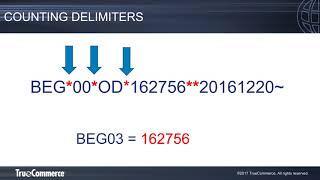 EDI Basics Reading X12 EDI [upl. by Grantley]