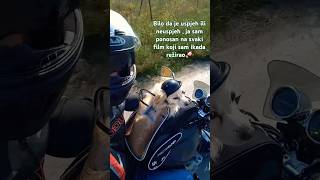 Naš film naša pravila 🐾motolifestyle motodog balkanlife puppy motolove bikerdog popular dogs [upl. by Aniretake]