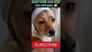 প্রথমে ভাবছি লেডিস্ পরে দেখি কুত্তা😀😀 youtubeshorts funny shorts foryou trending dog [upl. by Timms288]