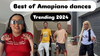 Best of TikTok Amapiano dances 2024 [upl. by Brnaba]