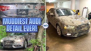 Deep Cleaning The Muddiest Audi A4 EVER  Insane Satisfying DISASTER Detail Transformation [upl. by Jenkins]