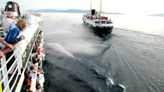 MS Lofoten meets MS Nordstjernen in Lyngen [upl. by Marcie694]