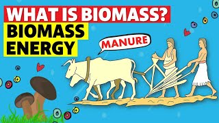 Biomass Energy [upl. by Retnyw]