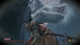 Sekiro  Python Boss [upl. by Schiff]