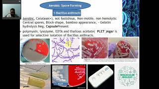 ANALYTIC PROCEDURES FOR BACTERIOLOGY Part 2 Gram Positive Bacilli [upl. by Kelson25]