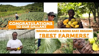 REGIONAL BEST FARMERS  BONO EAST amp BRONG AHAFO REGION bono brong regions ghana [upl. by Utley]