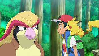 Ash reunites with Pidgeot  POKEMON MEZASE Aim to be POKEMON MASTER episode 11 Goodbye Satoshi [upl. by Zingale]