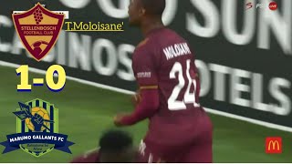 Stellenbosch FC 10 Marumo Gallants FC  Betway Premiership  All Goals  Highlights [upl. by Ssecnirp906]