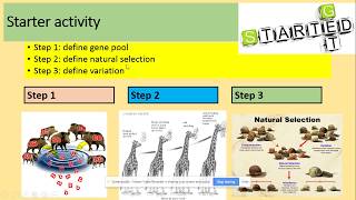 373 Evolution may lead to speciation Natural selection AQA A level Biology [upl. by Eugnimod]