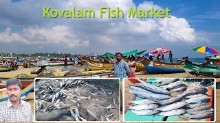 Kovalam Fish Market  Kovalam Beach Tamilan Bala [upl. by Tunk727]