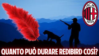 QUANTO PUÒ DURARE REDBIRD COSÌ [upl. by Nahor]