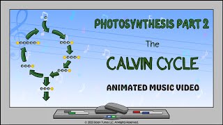 Photosynthesis Part 2 The Calvin Cycle  Animated Music Video [upl. by Anirtal]