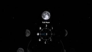 Moon Phases  Why does The Moon change its Shape shorts space moon moonphases animation [upl. by Anerb242]