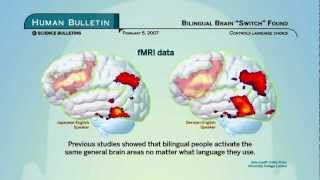 Science Bulletins Bilingual Brain Switch Found [upl. by Azne734]