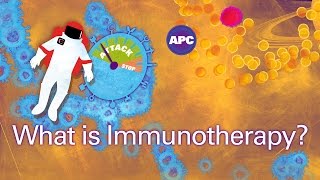 How does cancer immunotherapy work [upl. by Arihsaj]