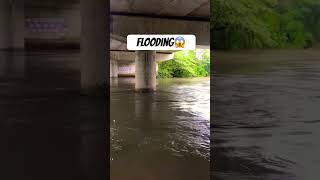 Flooding In Jaela😱 Be Safe Everyone😨❤️ floodingnature [upl. by Euhc]