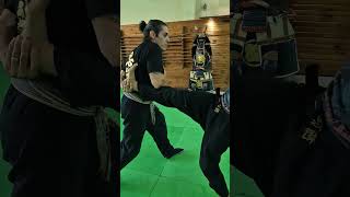 O segredo Ninja revelado🥷🫡 escoladeninjas ninjutsu ninja kotatsudojo bujinkan faixapreta [upl. by Oriel]