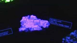 Flourescent Minerals [upl. by Diskin]