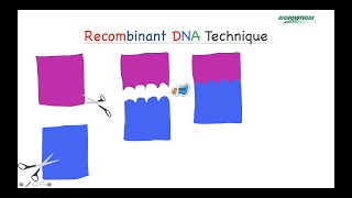 HOW TO CHOOSE RESTRICTION SITES FOR CLONING IN A PLASMID VECTOR using PROBLEM BASED LEARNING MAY21 [upl. by Fara]