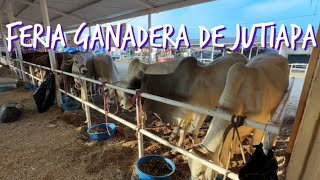 Llegamos a la feria ganadera de jutiapa Guatemala [upl. by Gaillard]