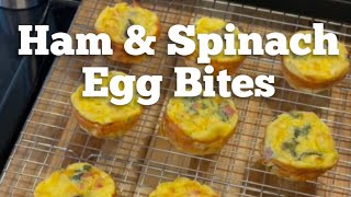 Ham Spinach amp Cheese Egg Bites [upl. by Ambrogino]