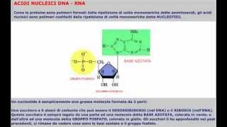 CORSO DI BIOLOGIA GENERALE  LEZIONE 19  NUCLEOTIDI E ACIDI NUCLEICI [upl. by Yenahs187]