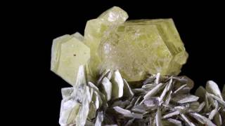 Heliodor  Golden Beryl on Muscovite [upl. by Anelem]