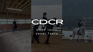 USDF Intro Level Tests A B amp C  Classical Dressage Coach Review  Dressage Tests [upl. by Liris]