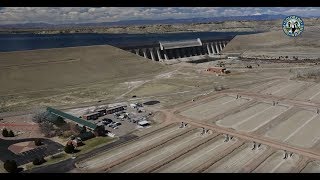 Colorado Fish Hatcheries [upl. by Emily94]