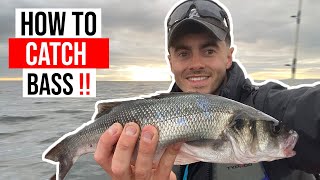 Tips To Catch MORE BASS amp Mackerel Kayak Fishing UK  St Brides Pembrokeshire [upl. by Alasteir]