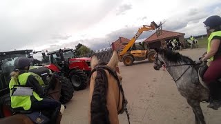 What a lot of Big Tractors luckily Bella has some horses friends to help steady her nerves 😳 [upl. by Nac]