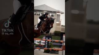 horse horseplay horsesports equestrian sportshorse horseracing horsegirl horseshowlife edit [upl. by Baldwin169]