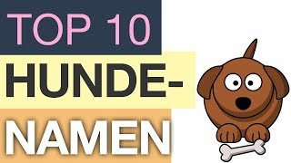 Top 10 Hundenamen [upl. by Eninaej]