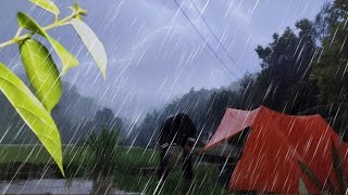 ⛺HEAVY RAIN CAMPING ⛈️ CALMING RAIN SOUNDS IN LONG HEAVY RAIN CAMPING  ASMR [upl. by Eliades]