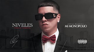 Chris Wandell  Niveles Audio Cover [upl. by Sonnnie]