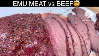 Emu Meat vs Beef …Is there really a difference [upl. by Macfarlane]