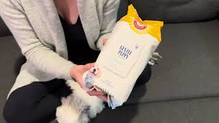 Review of Arm amp Hammer Dog Grooming Wipes for your Puppy [upl. by Brogle]