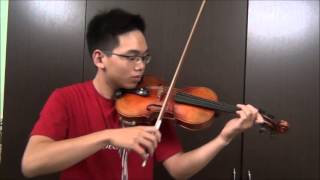 Demi Lovato  Heart Attack  Nathan Luong Violin Cover [upl. by Carry]