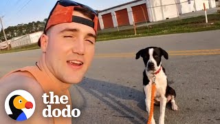 Man Magically Gets Every Shelter Dog Adopted  The Dodo [upl. by Calv]