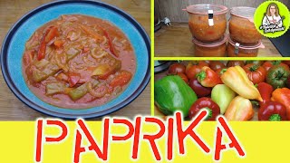 Paprika Soße nach Balkan Art  Ernte für den Winter einkochen  Haltbar ohne Kühlung [upl. by Sapphira]