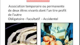 parasitologie  généralité et définition [upl. by Cary]