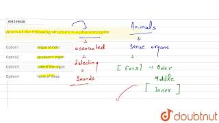 Which of the following structure is a phonoreceptor  CLASS 12  NEURAL CONTROL amp COORDINATION [upl. by Alexander793]