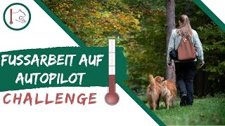 Fußarbeit auf Autopilot Challenge Oktober 2024 [upl. by Eidob616]