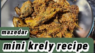 mazedar mini krely  special recipe  AishaMughal [upl. by Lerim]