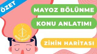 21 Mayoz Bölünme Eşeyli Üreme  10 Sınıf Biyoloji  2024 TYT Biyoloji Kampı 21 Gün [upl. by Yarw713]